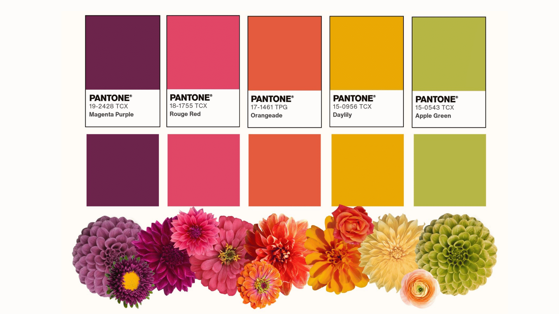 The Meaning Behind Different Flower Colors