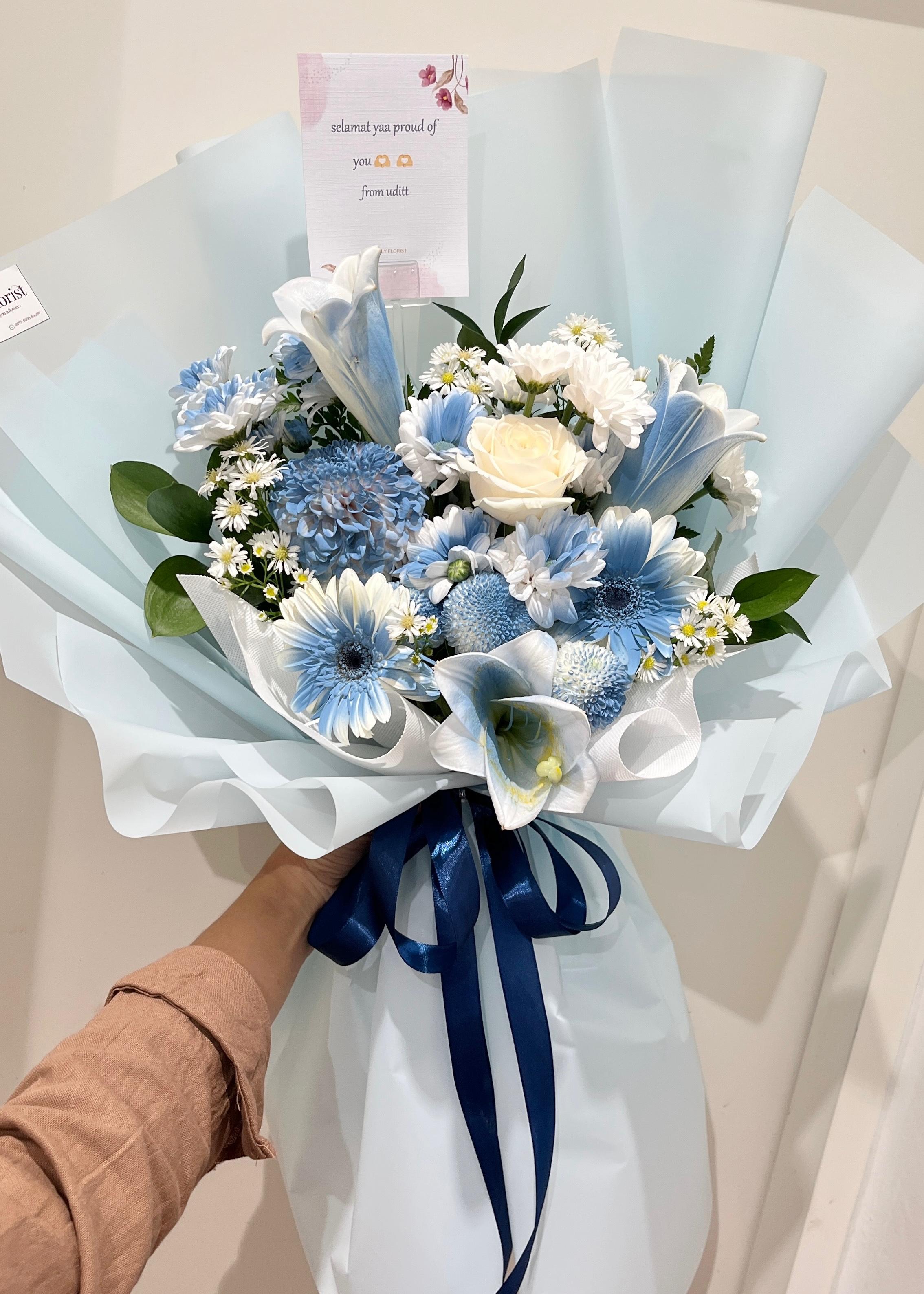 Mailnosa blue